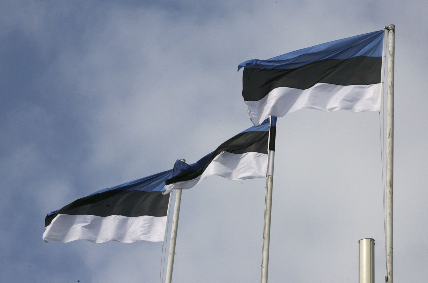 Eesti lipud