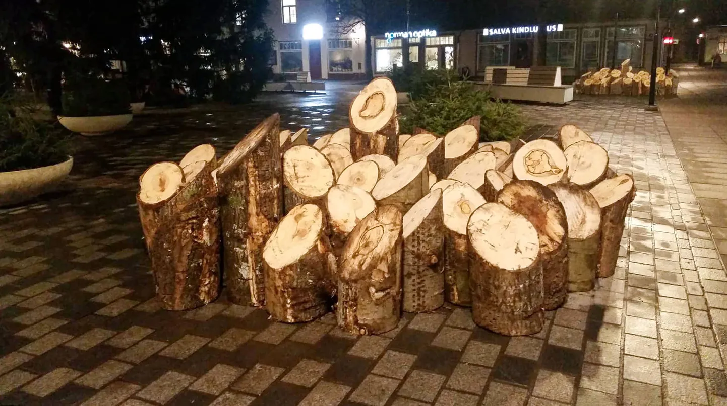 Puupakud, mis peagi muutuvad päkapikkudeks.