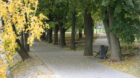 Maailma jalutajasõbralike linnade edetabel: üks Eesti linn jõudis TOP 10 sekka