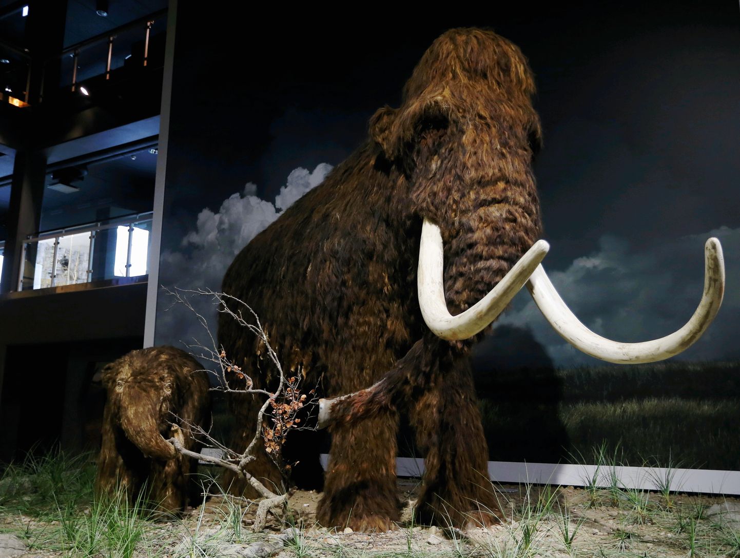 Teiste tegelaste seas saab Jääaja keskuses kohtuda ka mammutiga.