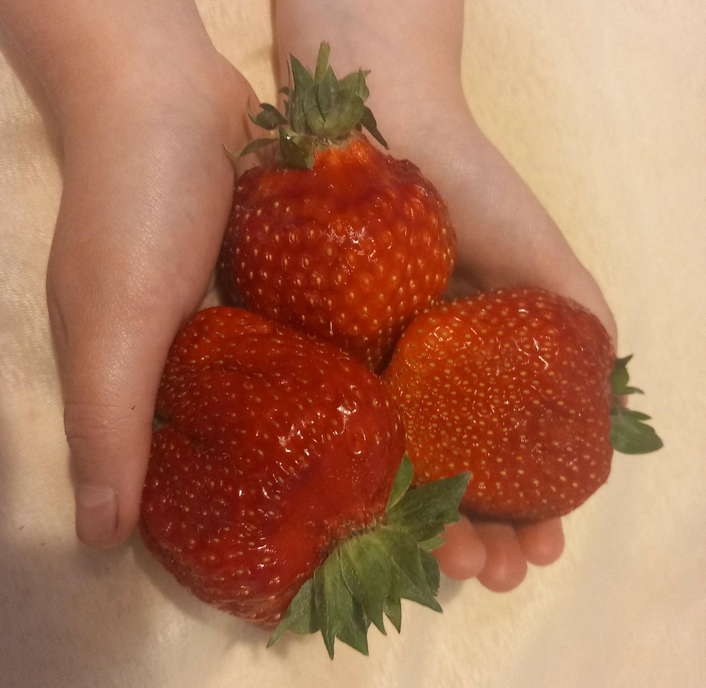 Neljaeurose kilohinnaga Poola maasikad olid tõesti pirakad.