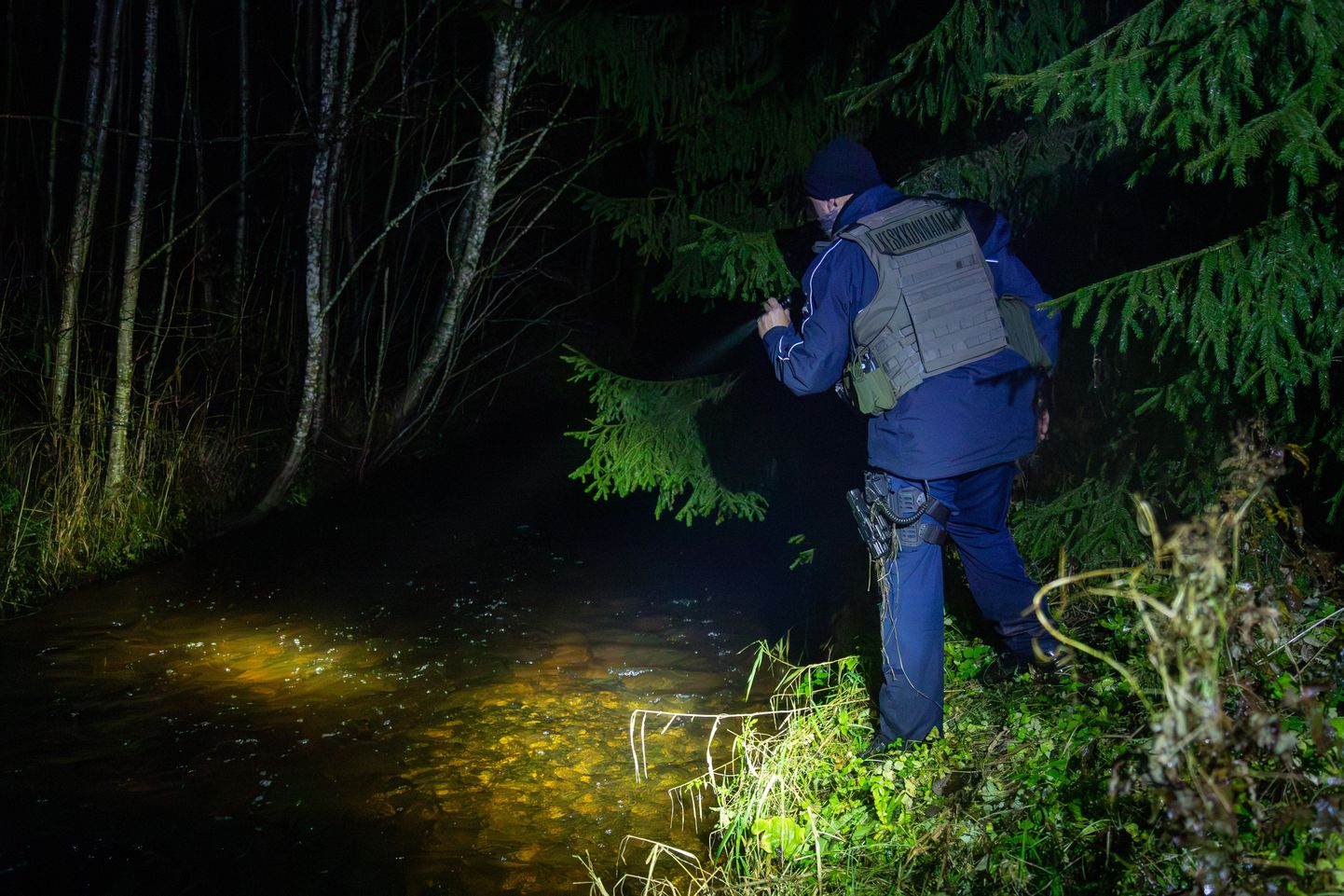 Департамент окружающей среды проверил соблюдение нерестового покоя на лососевых реках.
