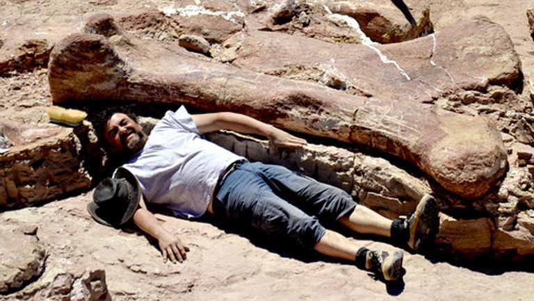 2013.gadā Argentīnā tik atrasti milzīga dinozaura skeleta fragmenti 