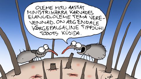 JUHTKIRI ⟩ Avalik teenistus ei tohi muutuda konnatiigiks