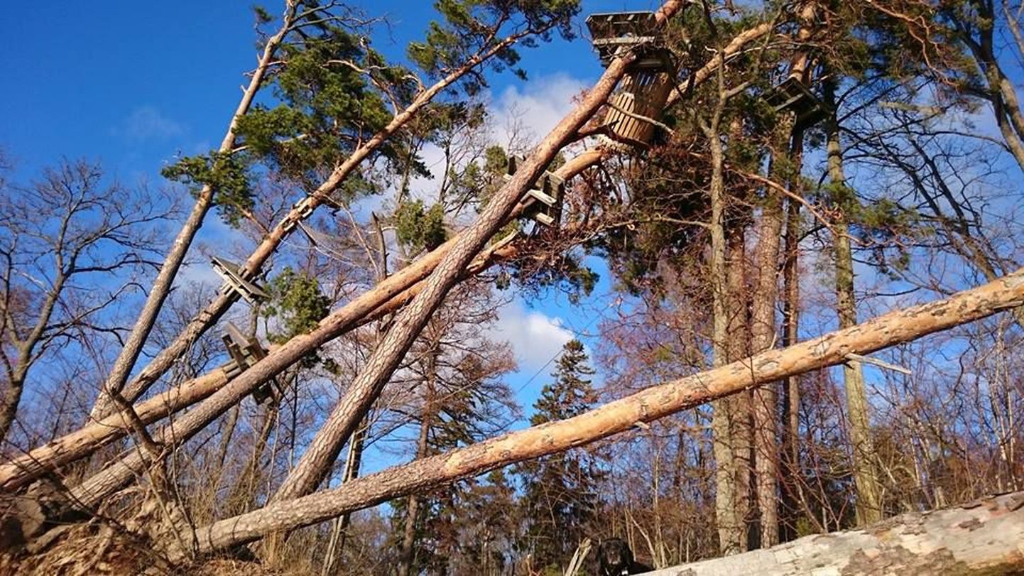 Mullu detsembris Valgerannas möllanud torm puistas seikluspargi metsatukka nii kuis jaksas. Viies rada purunes ning see tuli teises kohas uuesti ehitada.