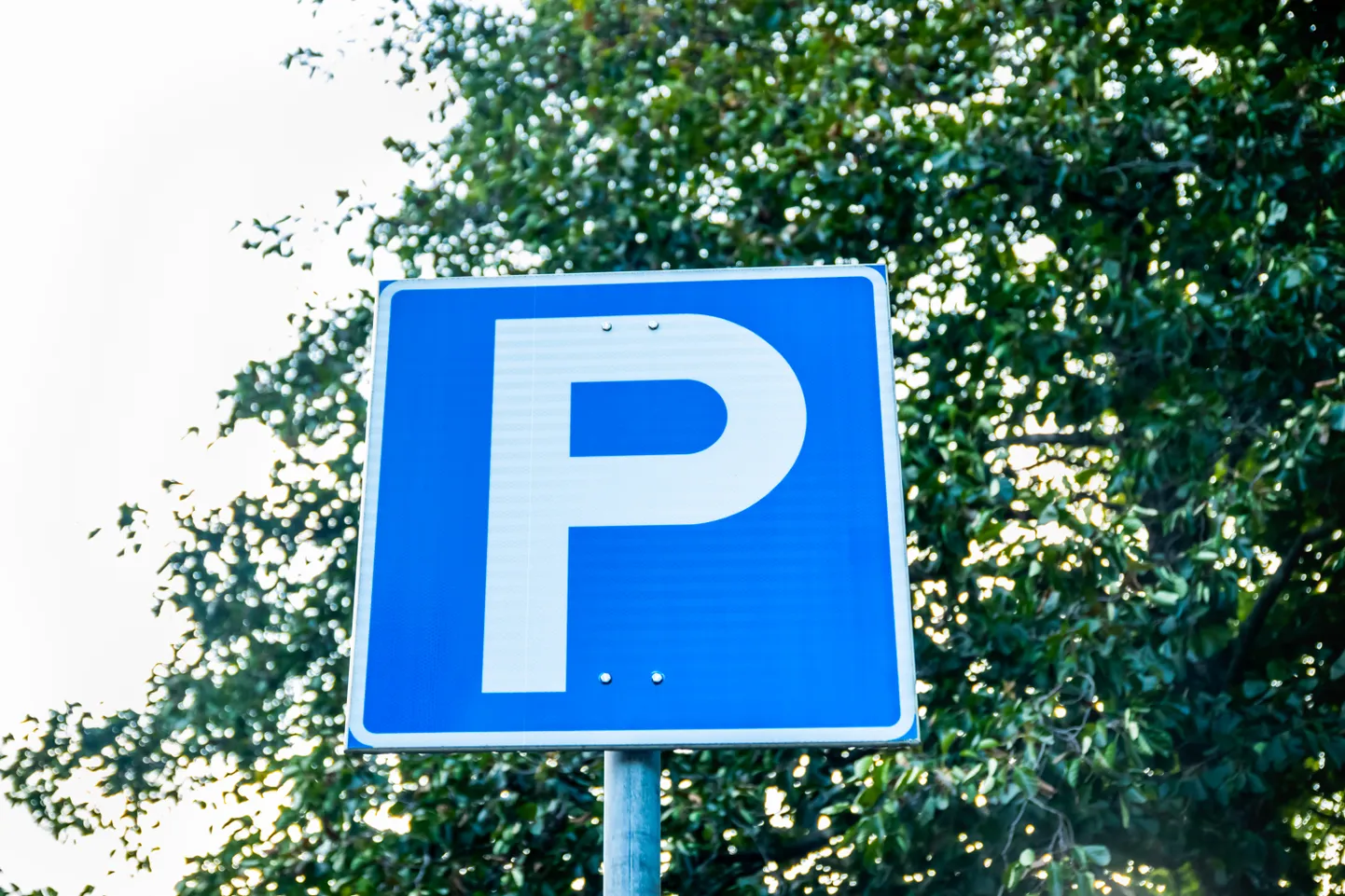 Raksta foto