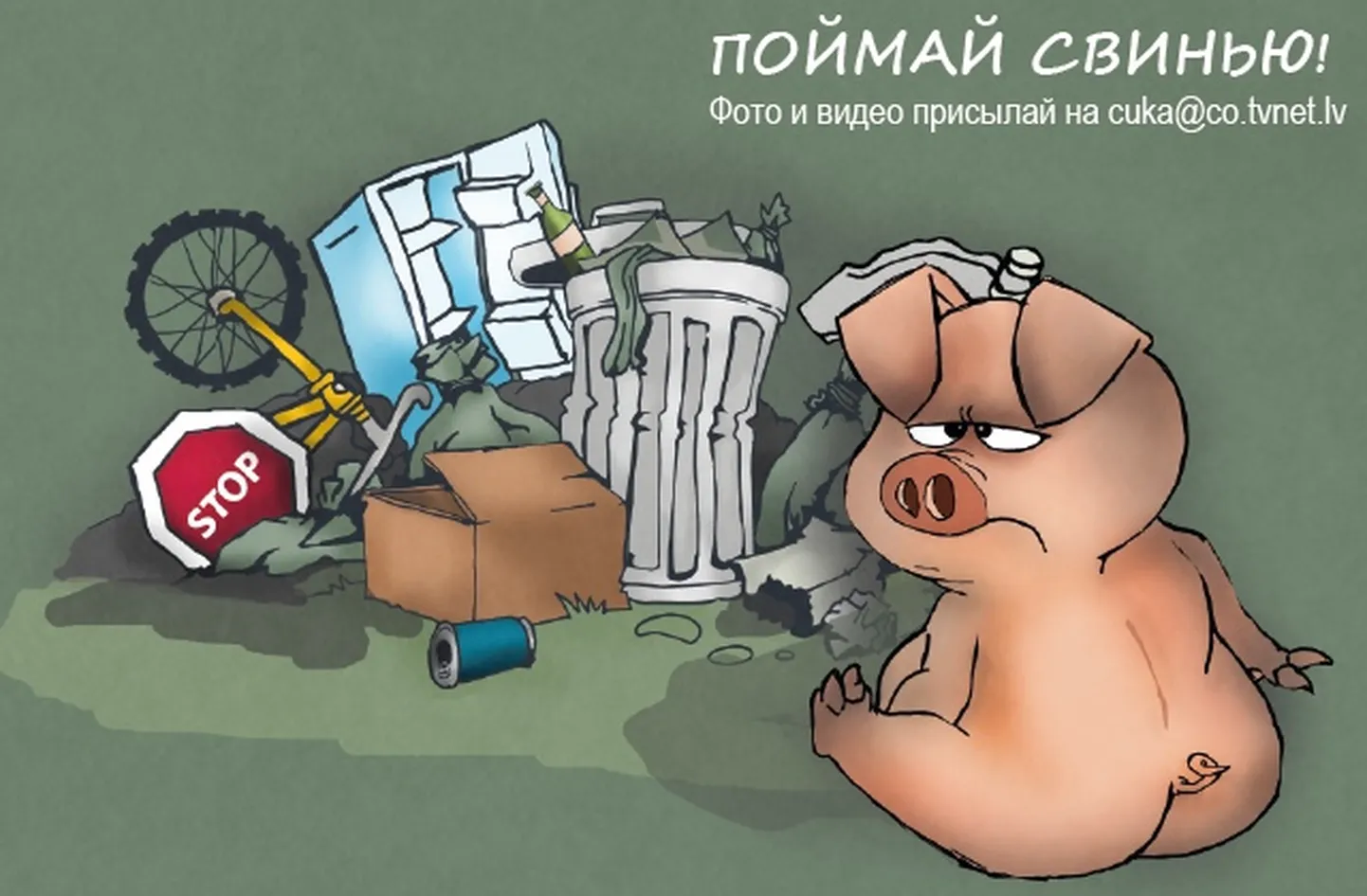 Фото статьи