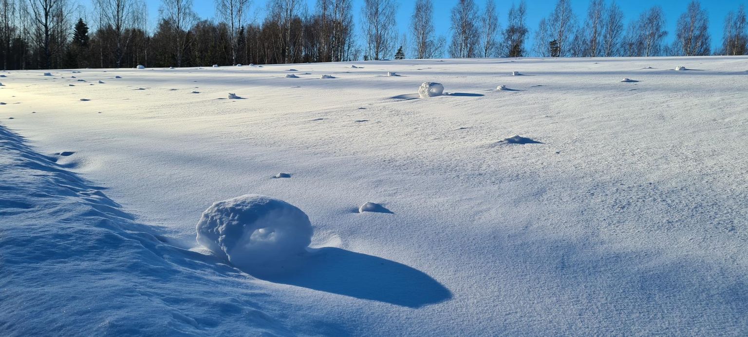 Mäest alla veerevad omapärased lumepallid FOTO: Anna Marita Pukk