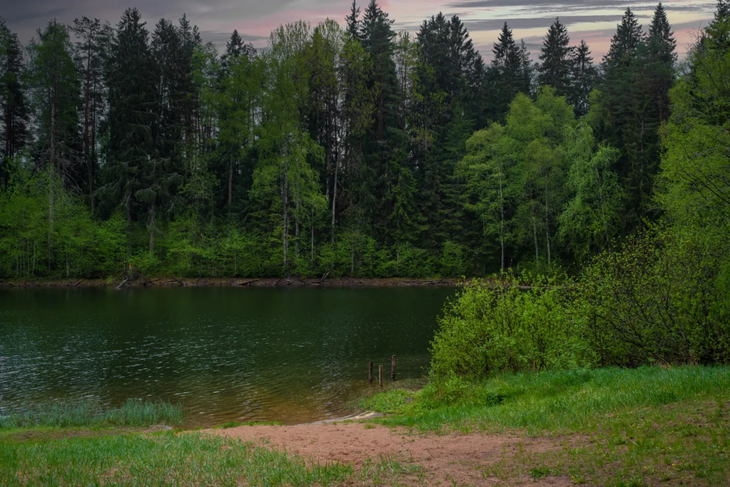 Illustreeriv foto. Hukatud loom leiti Veskijärve äärest, kus inimesed käivad peredega ujumas ja puhkamas.