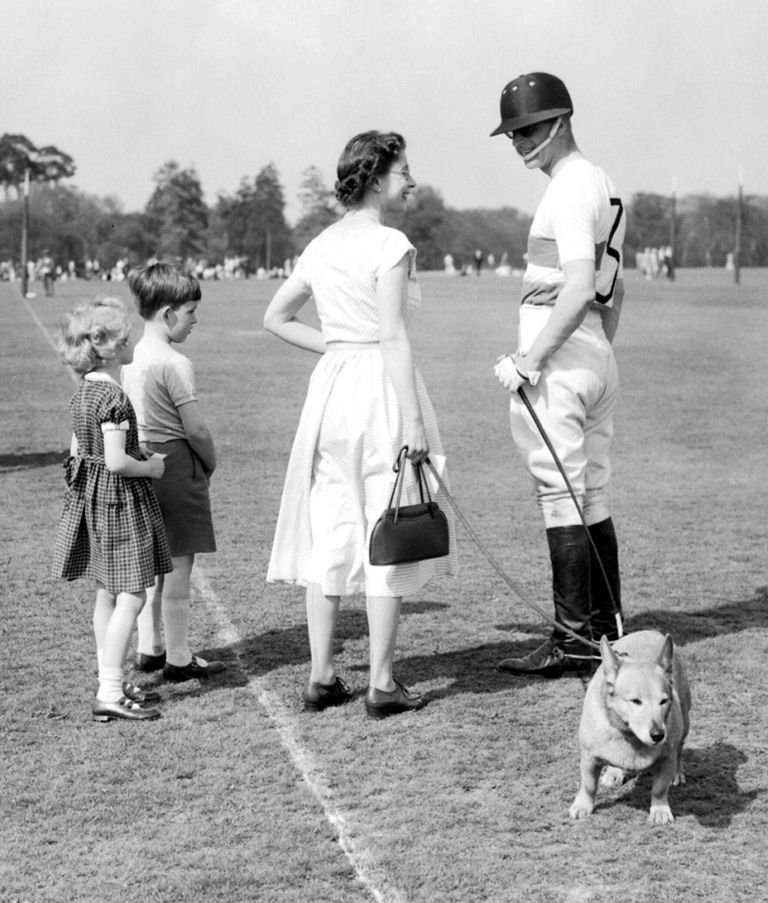 Королева с одним из королевских корги на поводке беседует с принцем Филиппом во время игры в поло в Виндзорском парке.