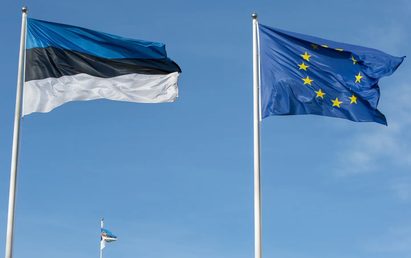 Eesti lipp ja Euroopa Liidu lipp. Kui palju peaksime oma suveräänsust Euroopa Liidule loovutama?