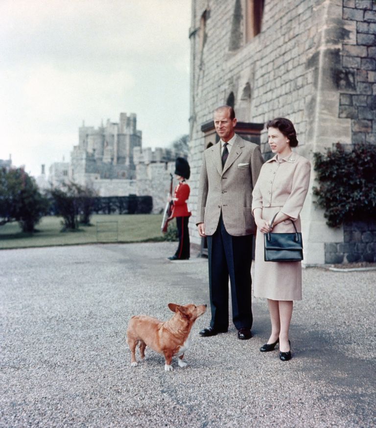 Принц Филипп и королева в Виндзорском замке с одной из их собак.