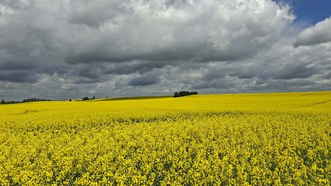 Estonia's Nature Restoration Plan's Funding Remains a Mystery