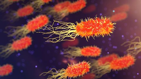 Anekdoot: uus viirus, mis muudab su eraelu olematuks