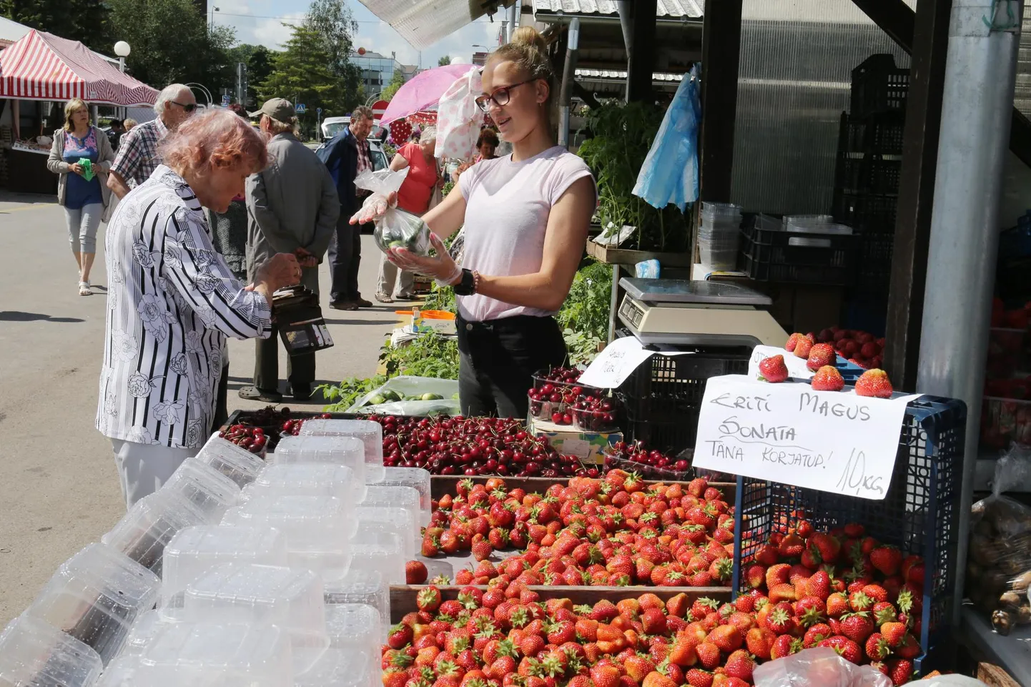 Kurgid sulle, raha mulle. Elliane Šteinmiller müüs parasjagu pool kilo kurki, pärast seda tehingut läksid müügiks Eesti maasikad.