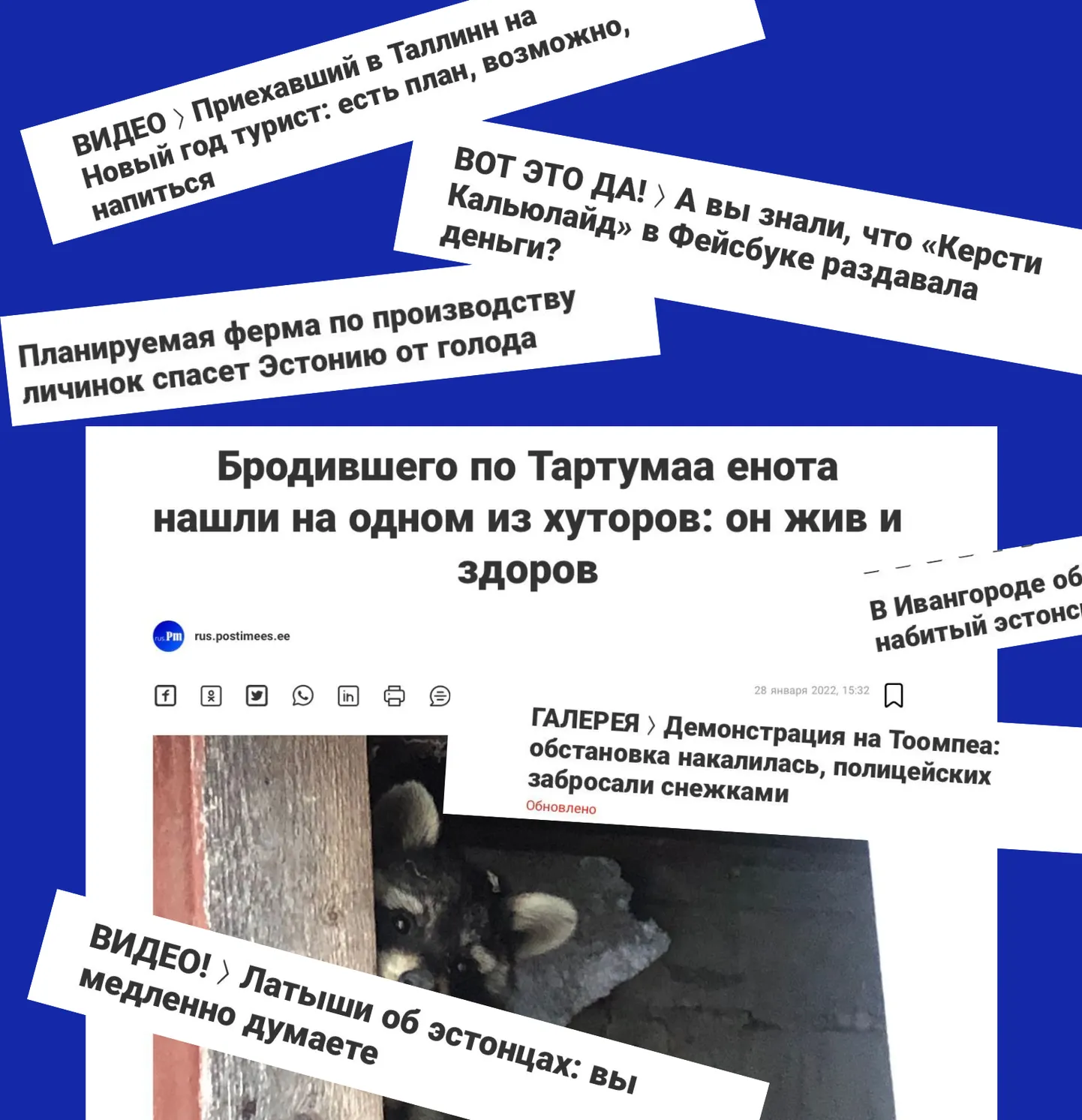 Фото статьи