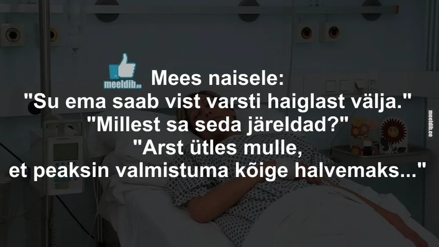 Artikli foto