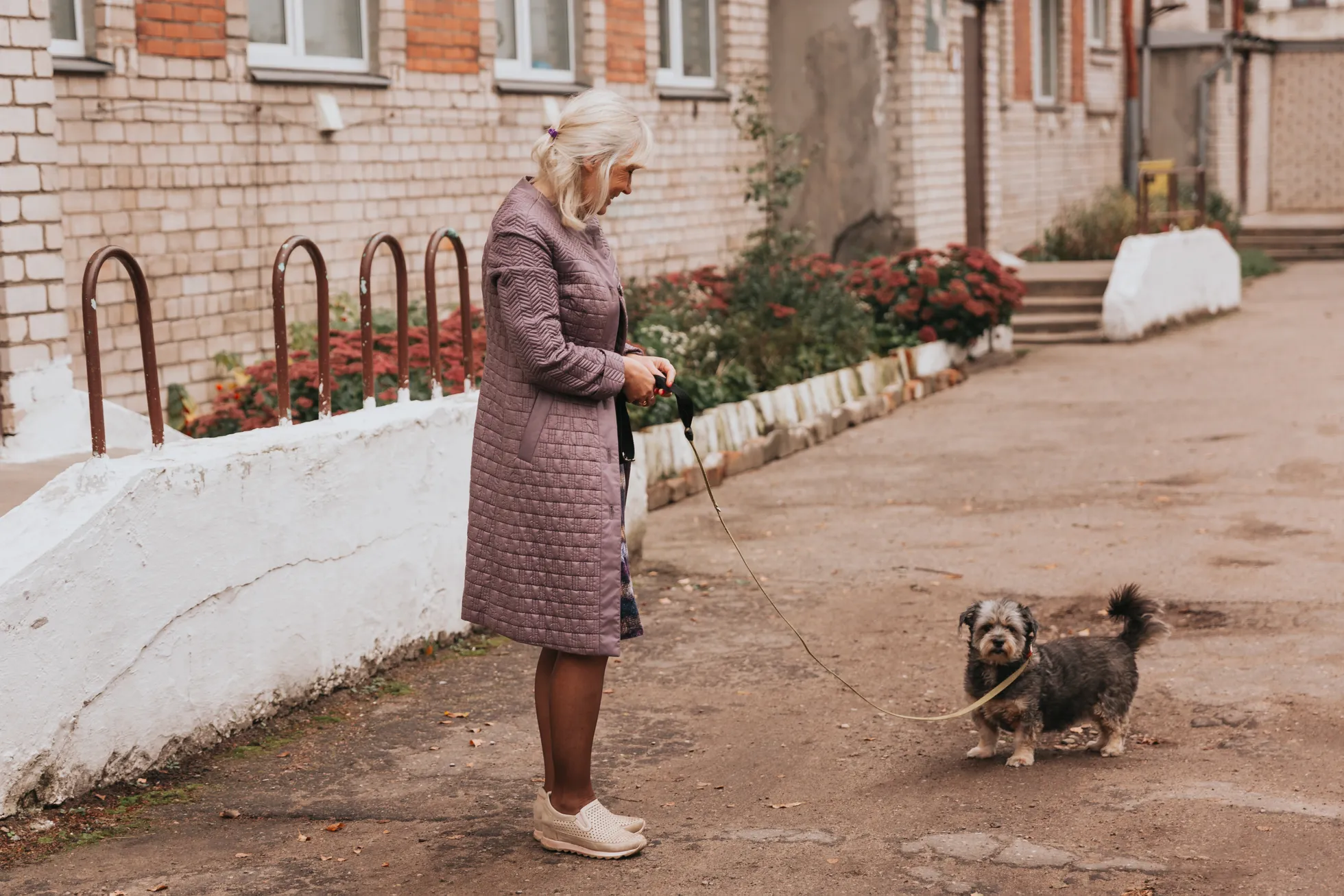 Фото статьи