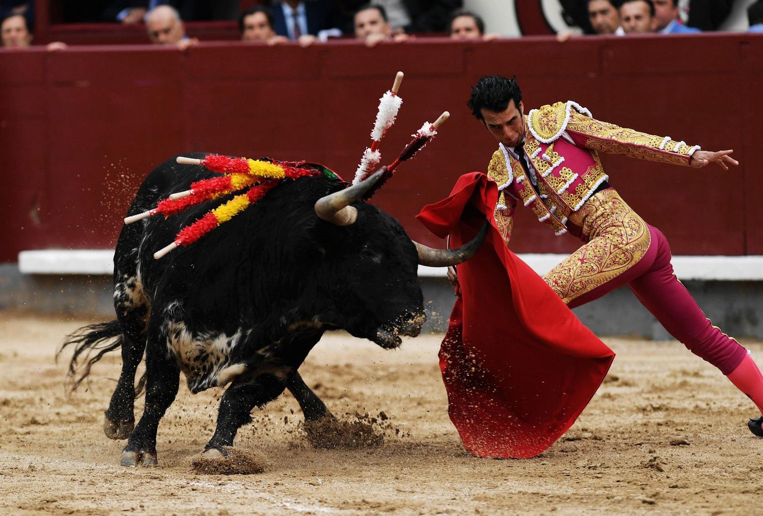Härjavõitlus Madridis.