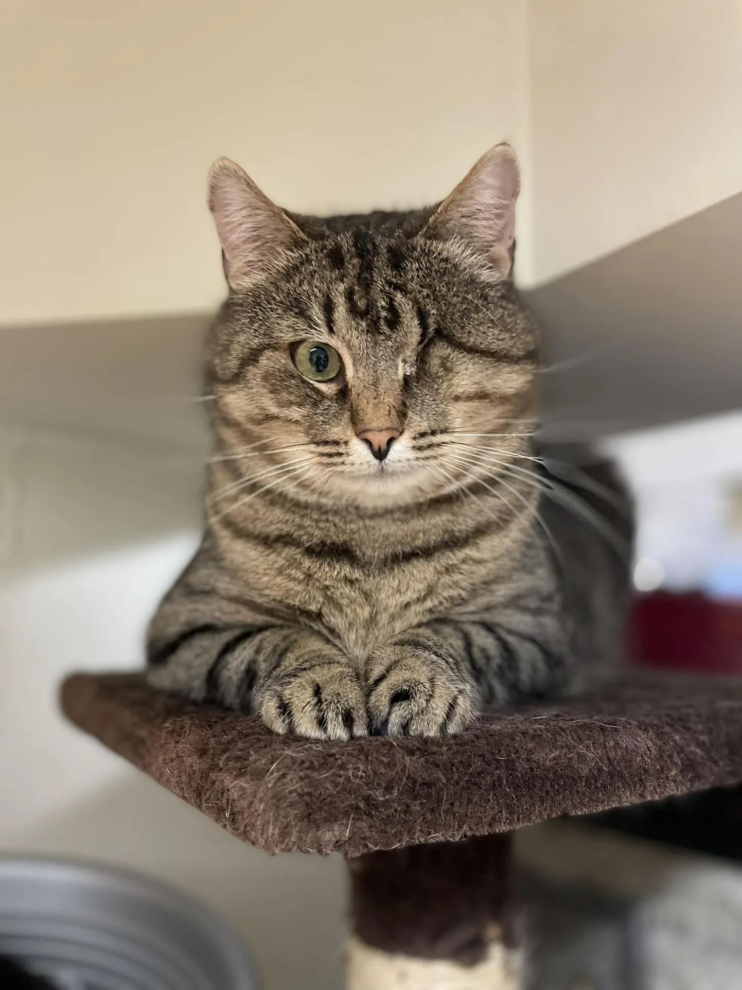 Maru