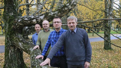 Eesti esitab Euroopale ebarealistlikke metsaandmeid