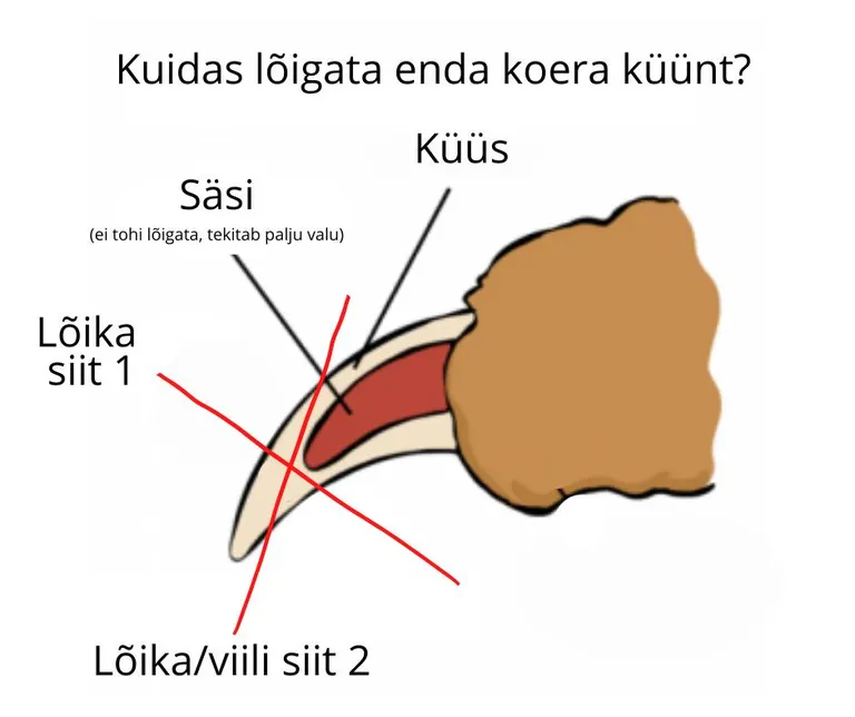 Abistav joonis