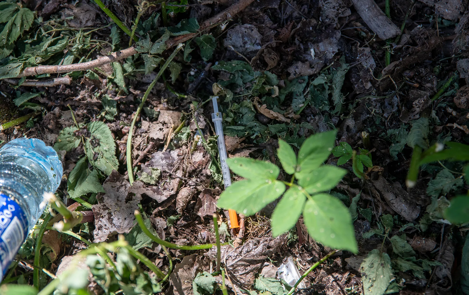 Raksta foto