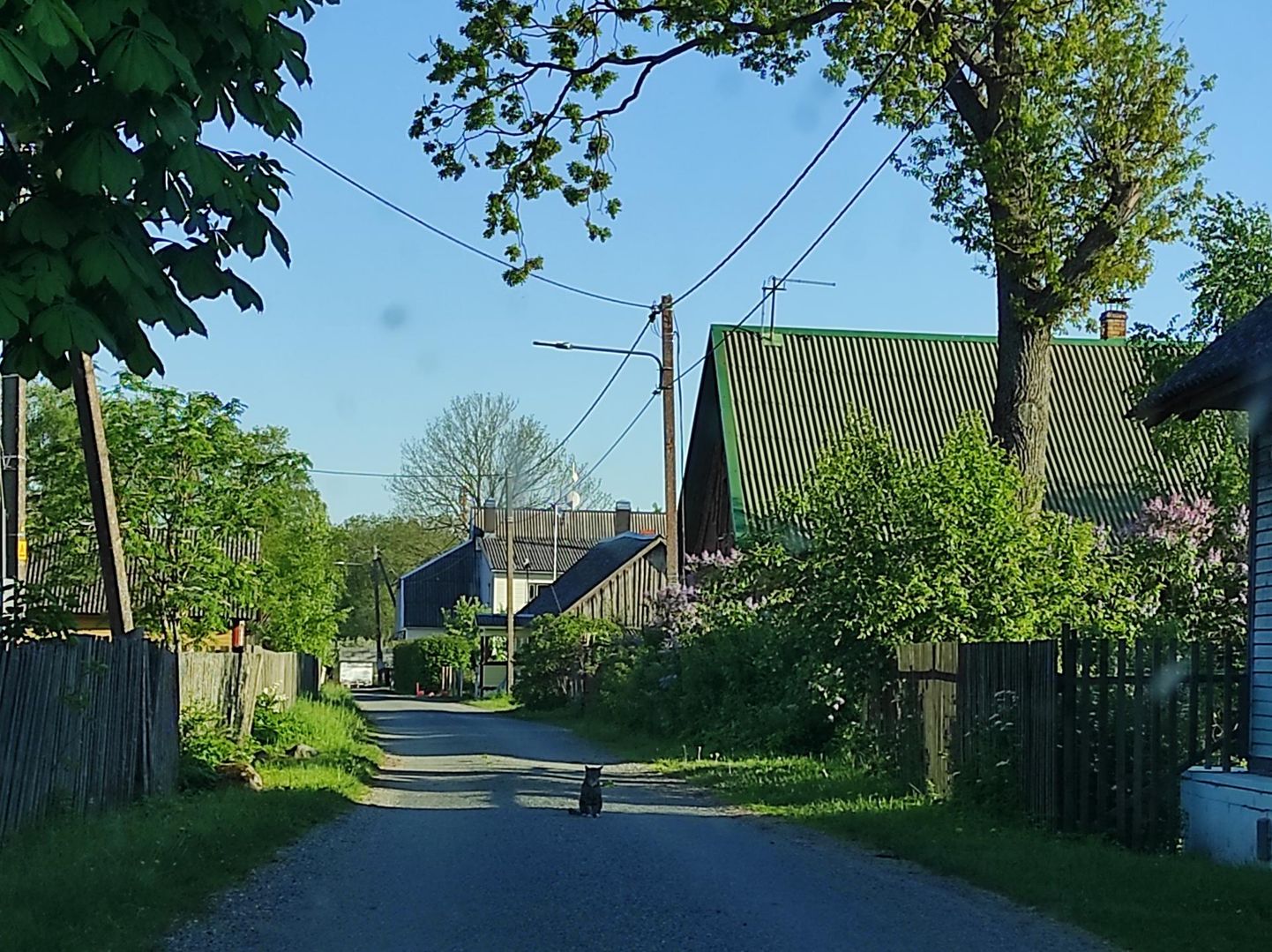 Nautige tänavamiljööd – katkematut majaderida suurte väravate ja pikkade Peipsini ulatuvate kruntidega. Külad kuuluvad Eesti kauneimate hulka.