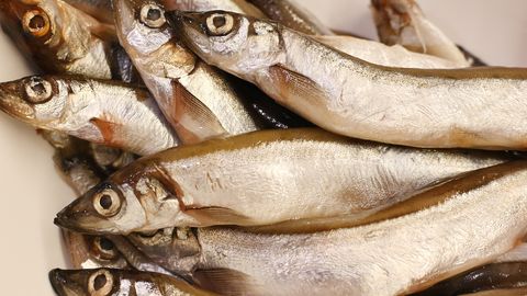 Anekdoot: kalamees ja kotitäis kalu