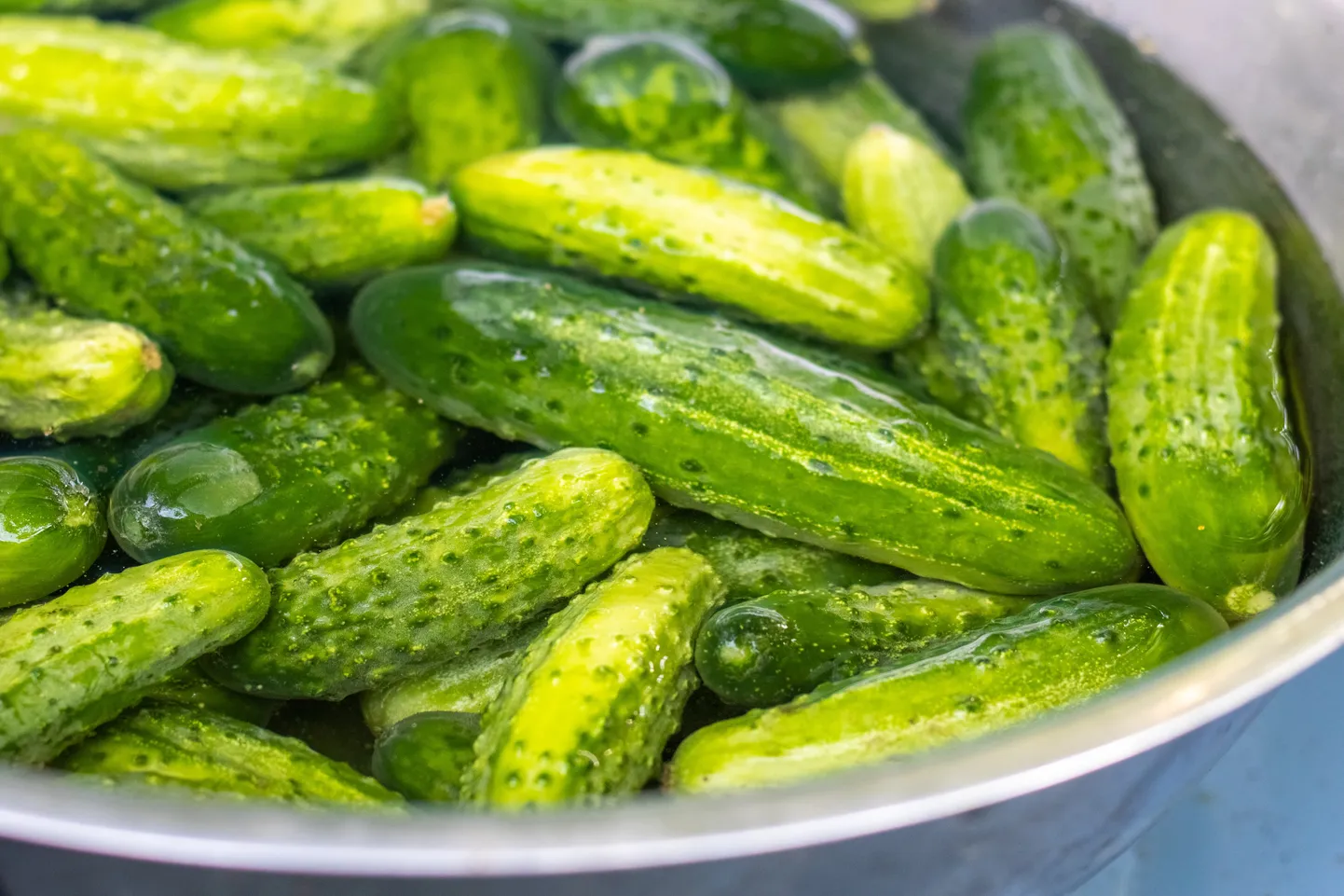 Labs iemesls, kāpēc gurķus izpeldināt aukstā ūdenī