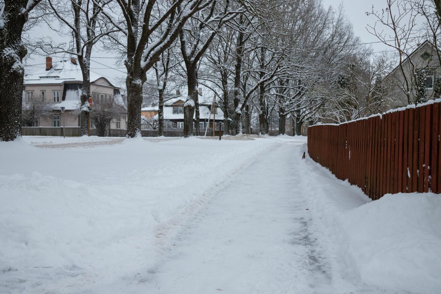 Viljandis on maas paks lumi ning seetõttu tuletab linnavalitsus kinnistuomanikele meelde kõnnitee ja katuse puhastamise vajadust.