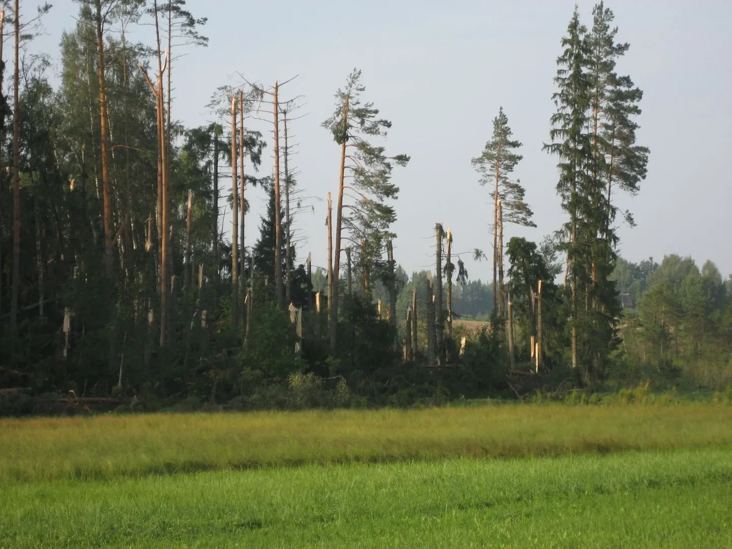 Tormi tagajärjed Ruusa külas Põlvamaal