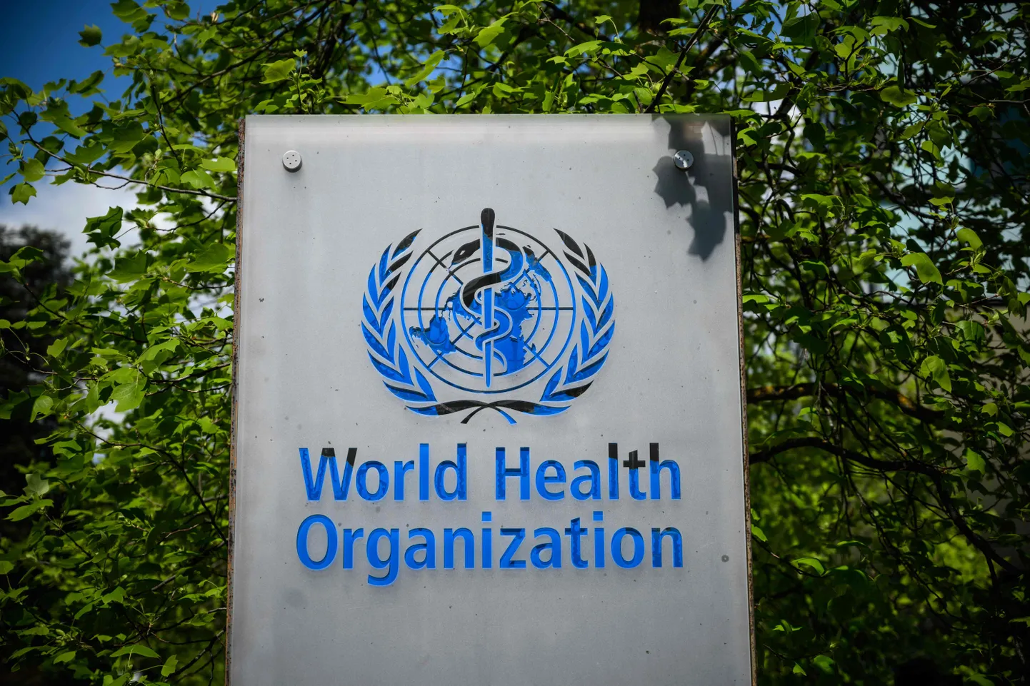 Maailma Terviseorganisatsioon (WHO).