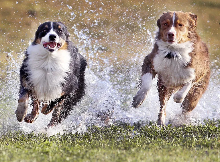 Michael Probst/AP/Scanpix
