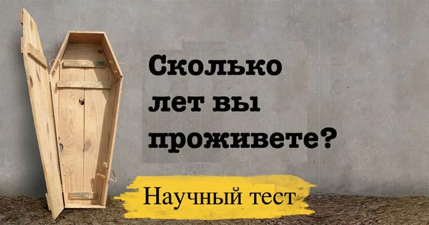 Фото статьи