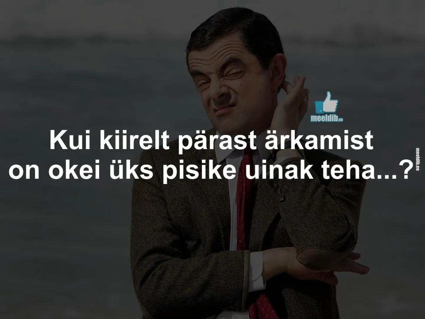 Artikli foto
