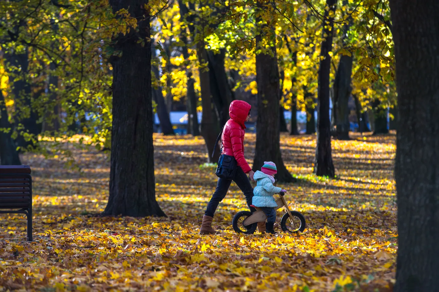 Фото статьи