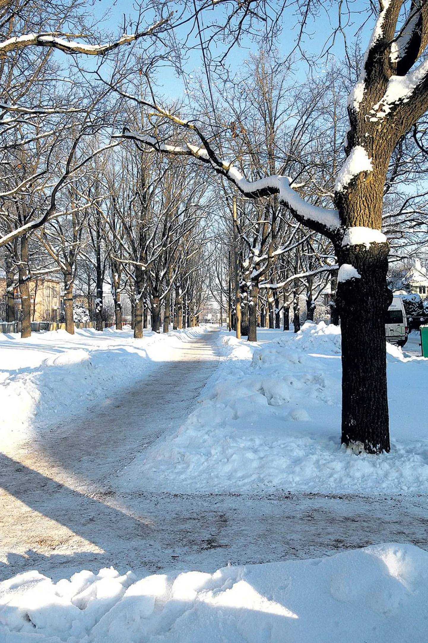 Tammelinna kaari ühendab Tamme puiestee.