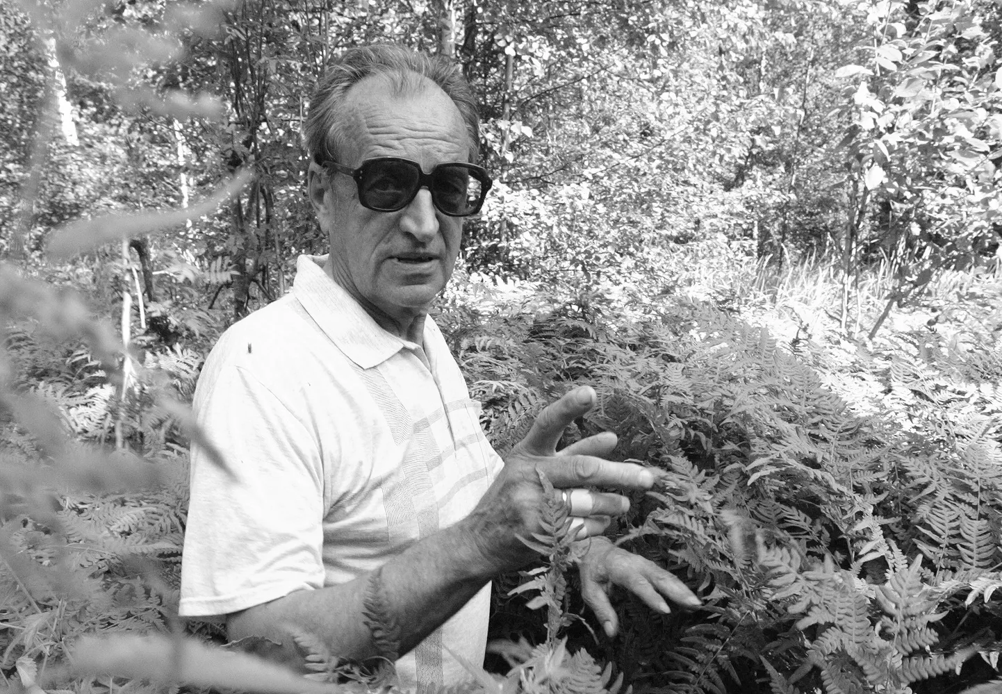Heino Kasesalu