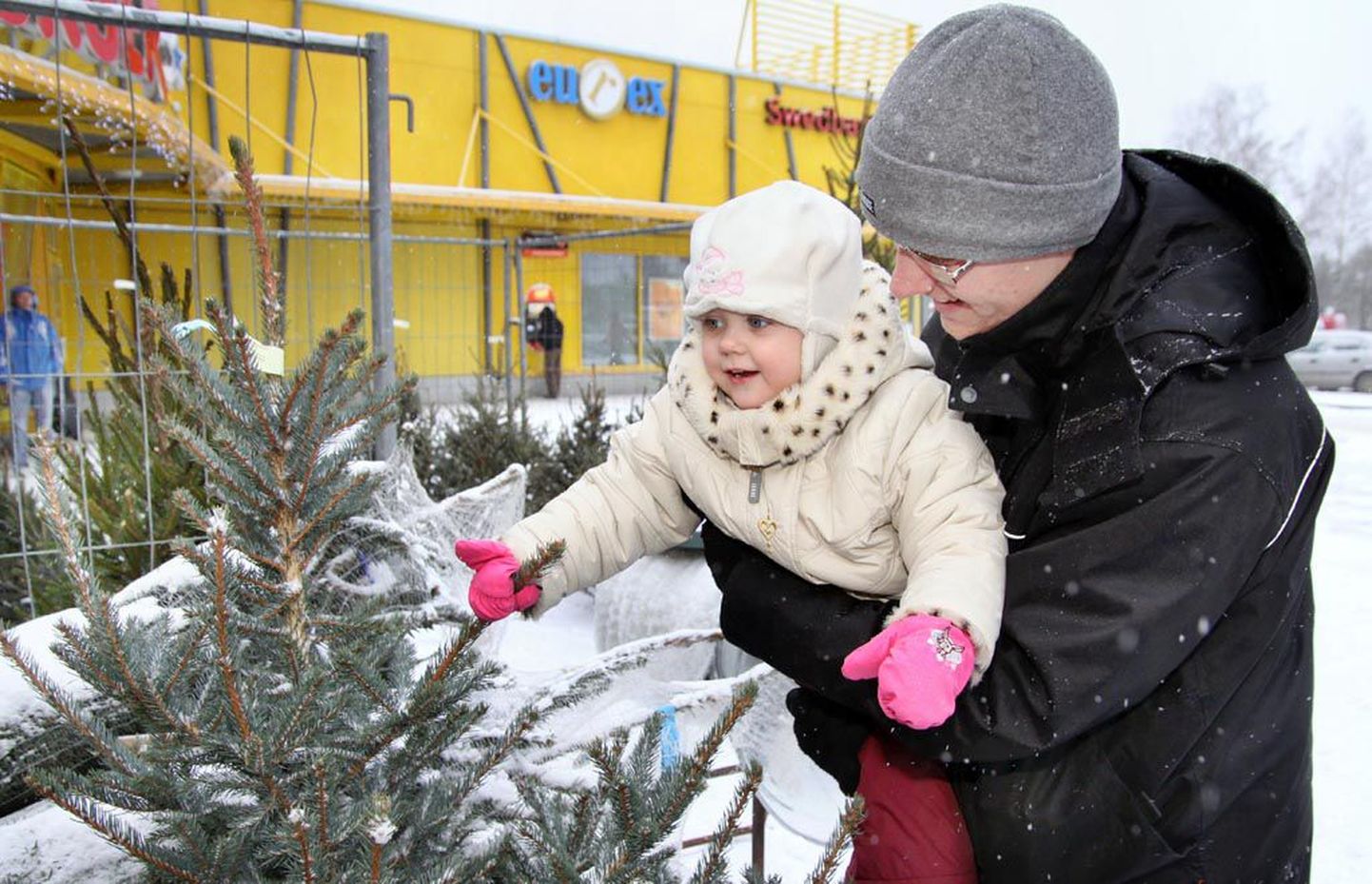 Eile valisid Pärnus Kaubamajaka ees kuuske 2aastane Relina ja tema isa Riho.