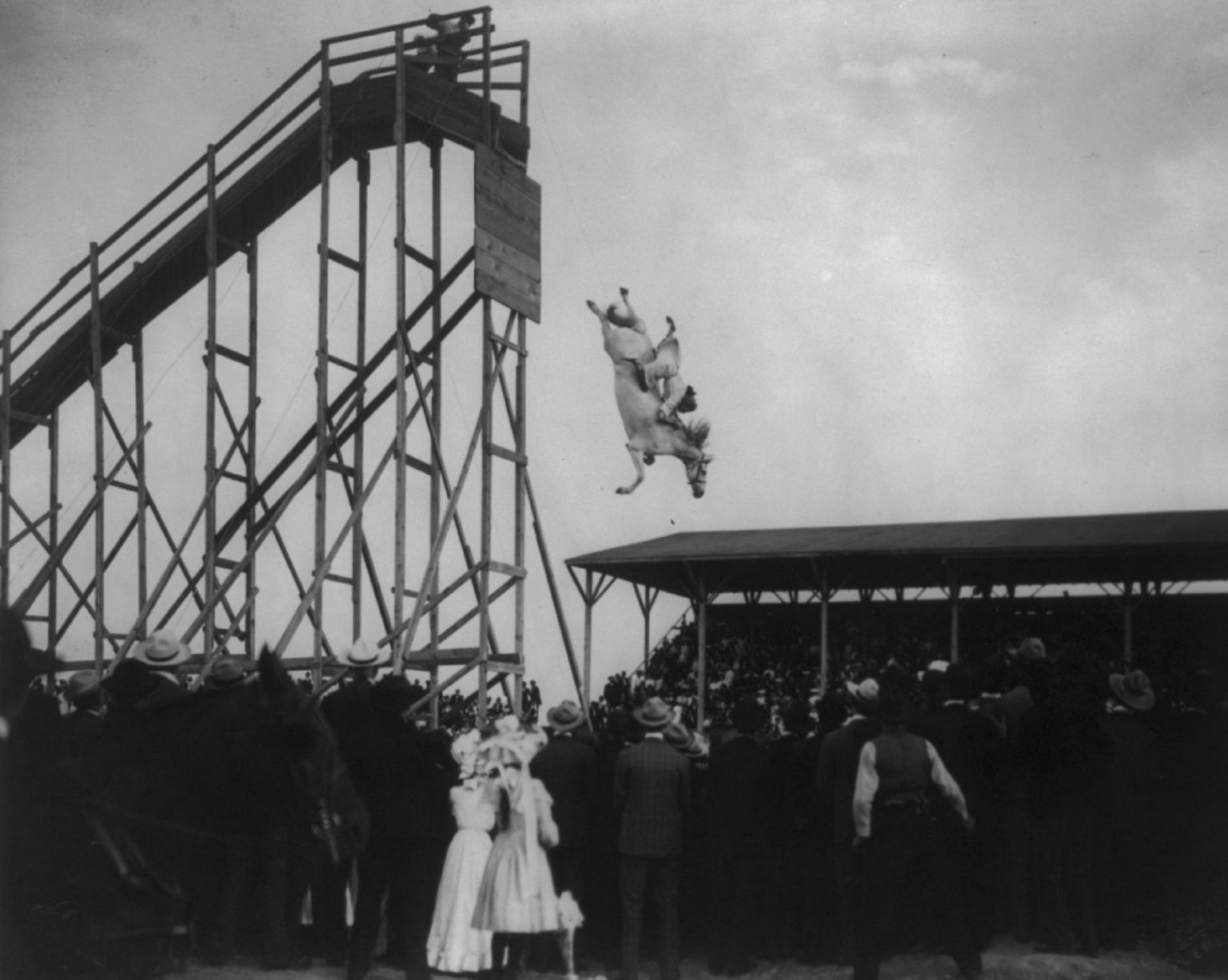 1880-ndatel aastatel oli vanarahva meelest hobuste sukeldumine täiesti normaalne spordiala.