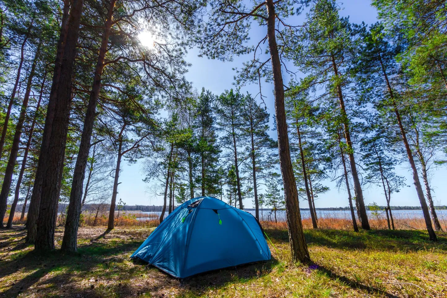 RMK Veskijärve lõkkekoht Harjumaal.