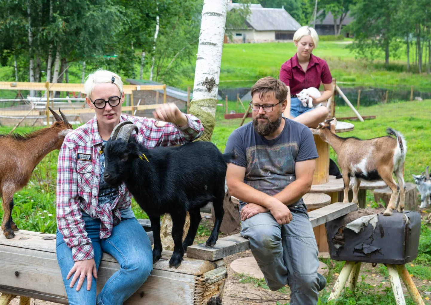 Linnast maale kolinud Sarve talu pererahvas Janika Naaber ja Margus Metsalu kolme lapsega tutvustasid oma ettevõtmist Lõuna-Eesti Postimehele 2020. aastal.

 