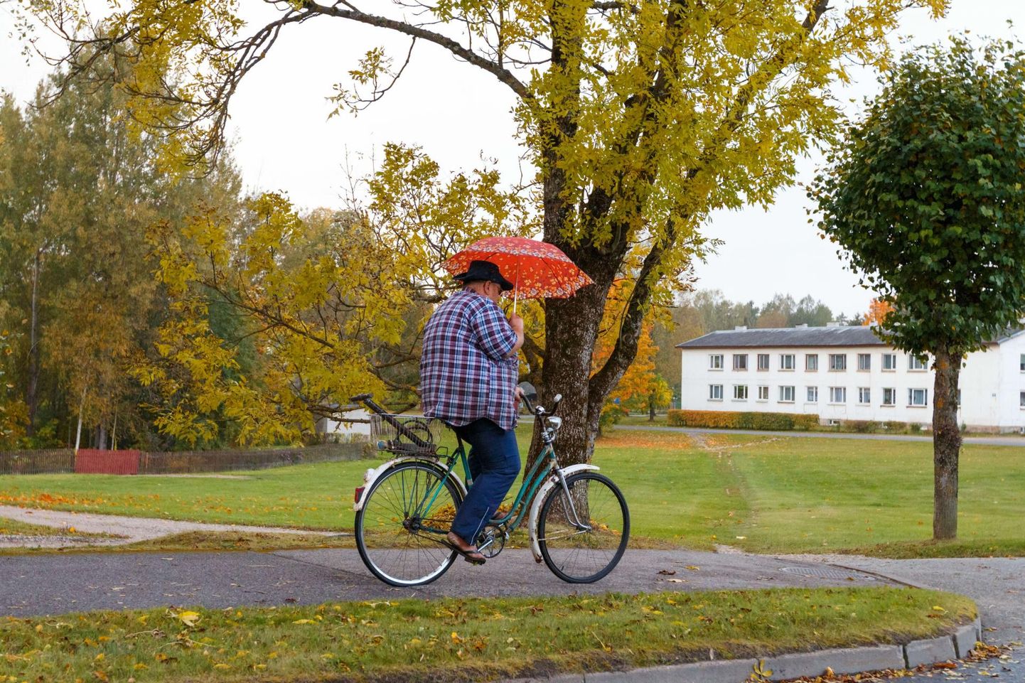 Mees sõidab jalgrattaga, vihmavari käes.