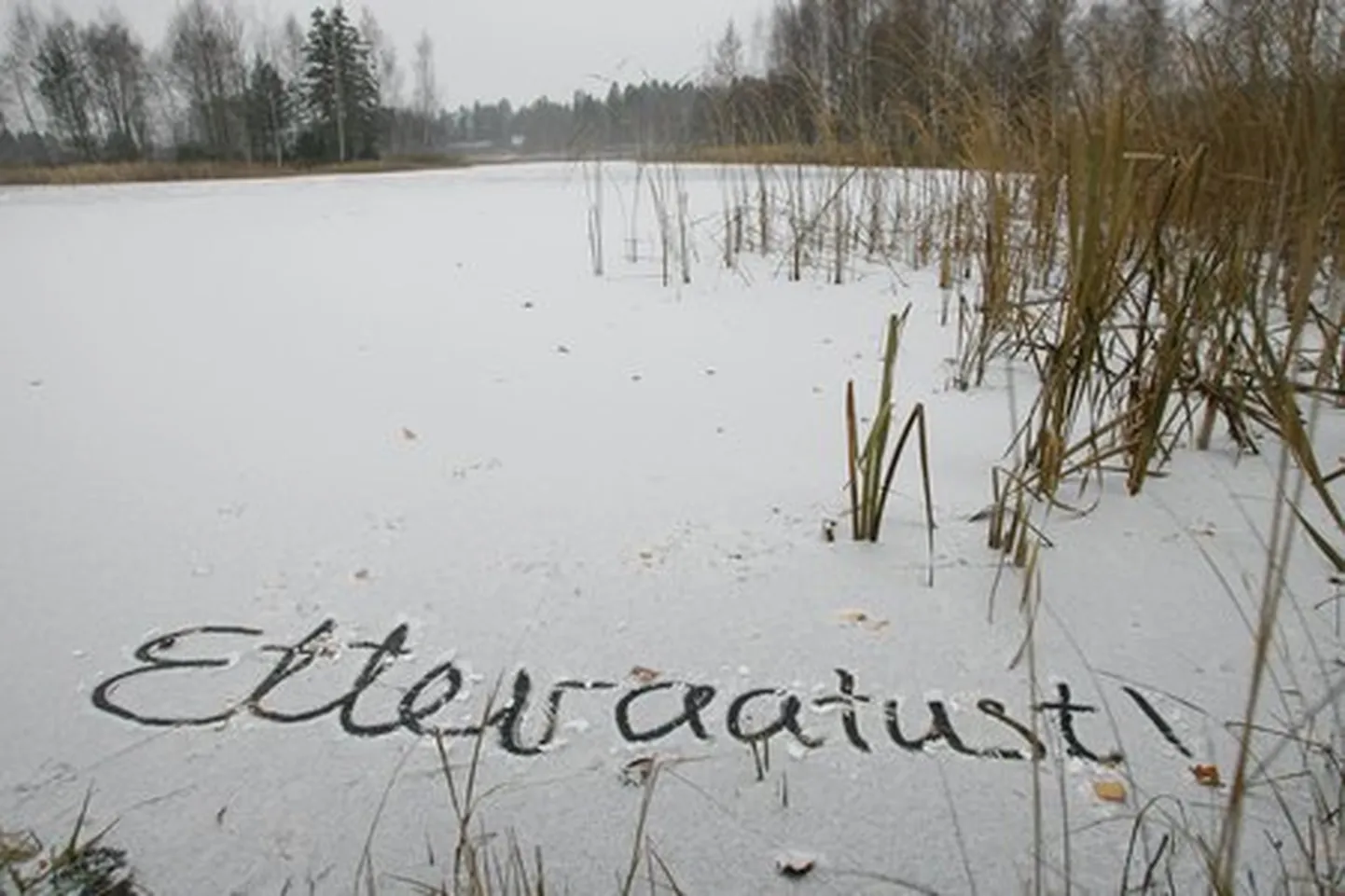 Foto on illustratiivne.