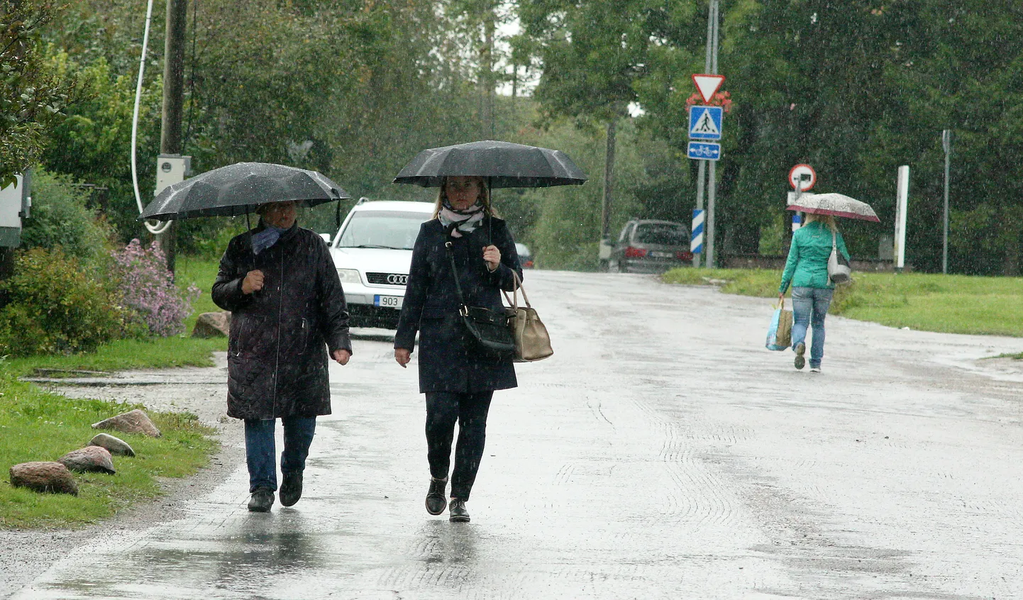 Jõhvi Tammsaare tänaval puudub kõnnitee ning jalakäijad on sunnitud siin liiklust sõiduteel koos autodega jagama. Arengukava näeb muu hulgas ette, et promenaadilt hargneb ka siia kergliiklustee.
