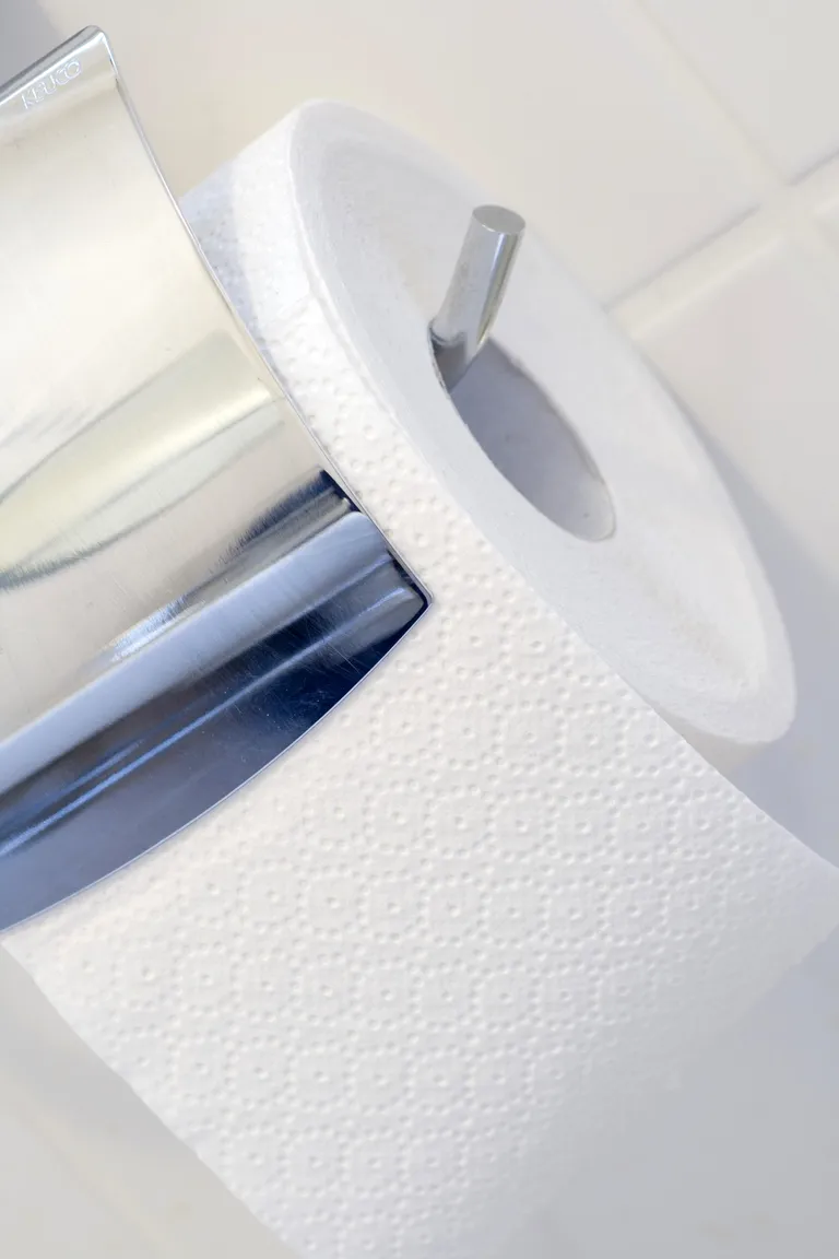 WC-paberi rull hoidjas: Pilt on illustreeriv
