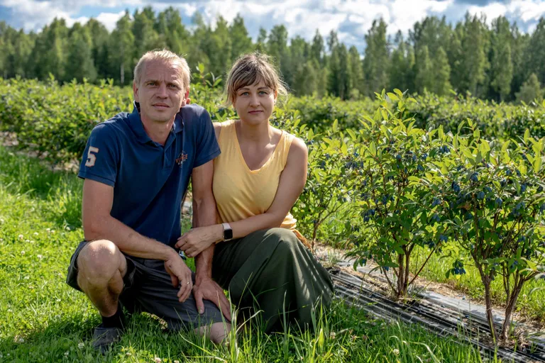 Kaia ja Reigo Kardmaa on loonud 5,5 hektaril 18 000 taimega kuslapuukasvanduse.