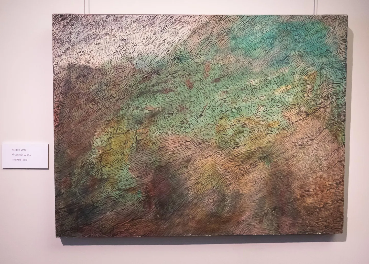 Tiiu Pallo-Vaigu maal näitusel "Värveldused".