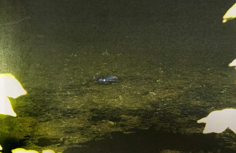 Место, где было найдено тело Юлле. На поверхности воды виден ее рюкзак.